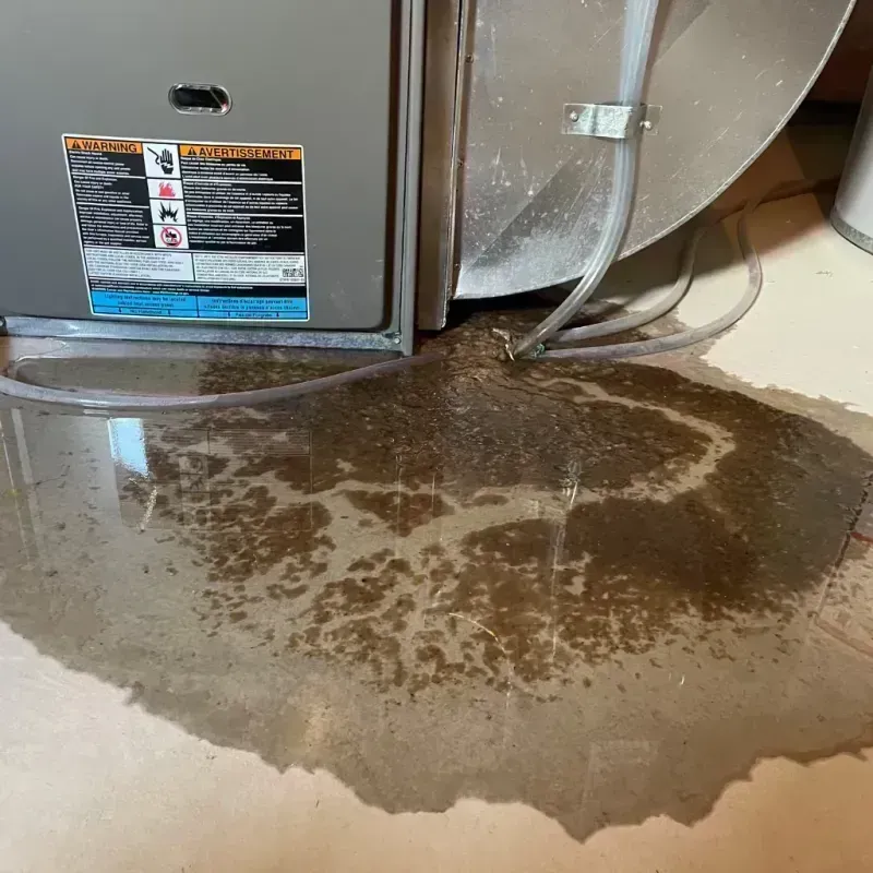 Appliance Leak Cleanup in Kit Carson County, CO